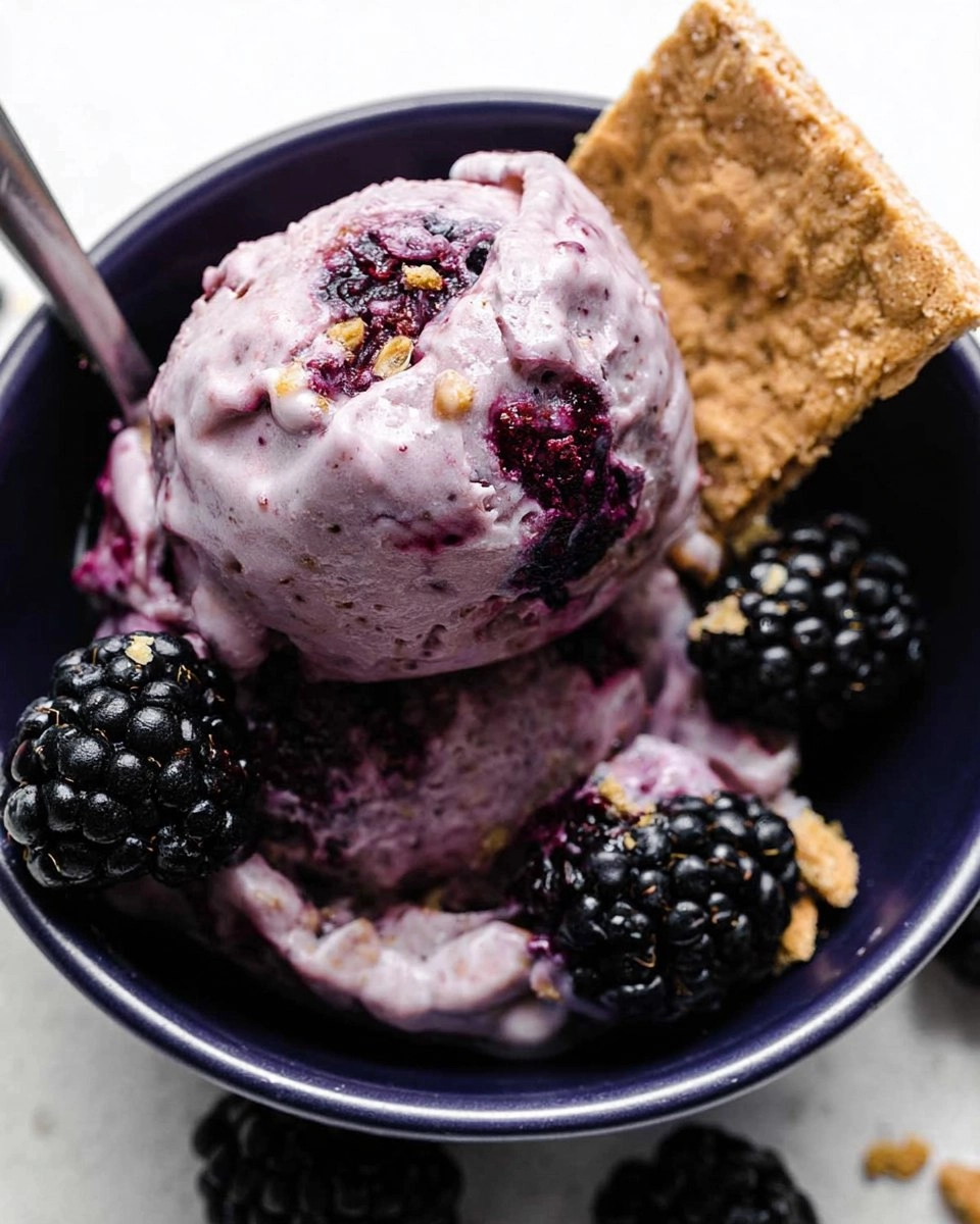 Blackberry Cheesecake Cottage Cheese Ice Cream 69 Blackberry Cheesecake Cottage Cheese Ice Cream