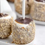 Smores Marshmallow Pops 81 Smores-Marshmallow-Pops-Recipe